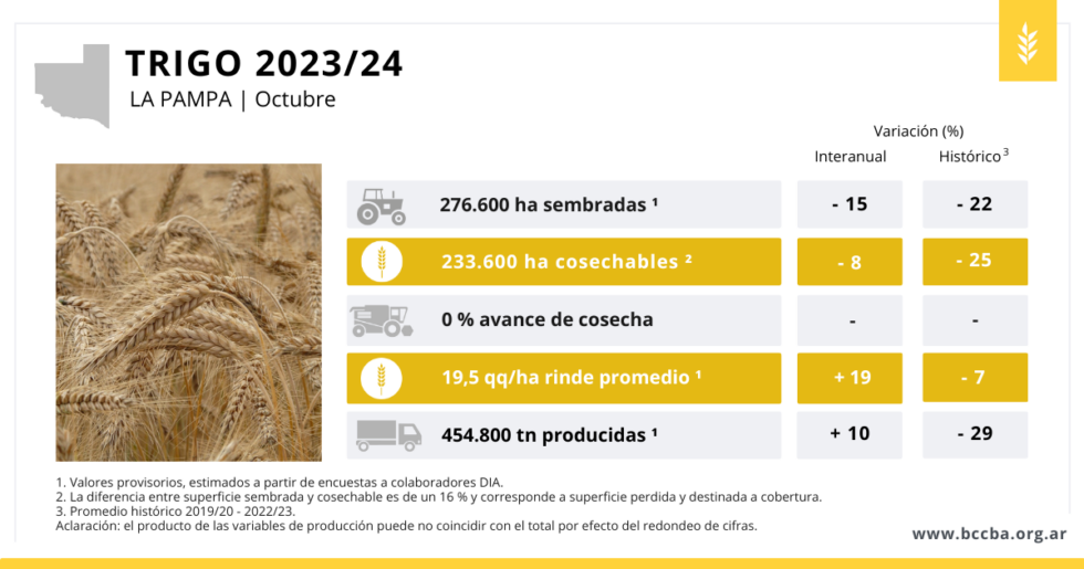 La Pampa Primera Estimaci N De Producci N De Trigo Bccba