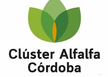 Clúster de Alfalfa de la Provincia de Córdoba