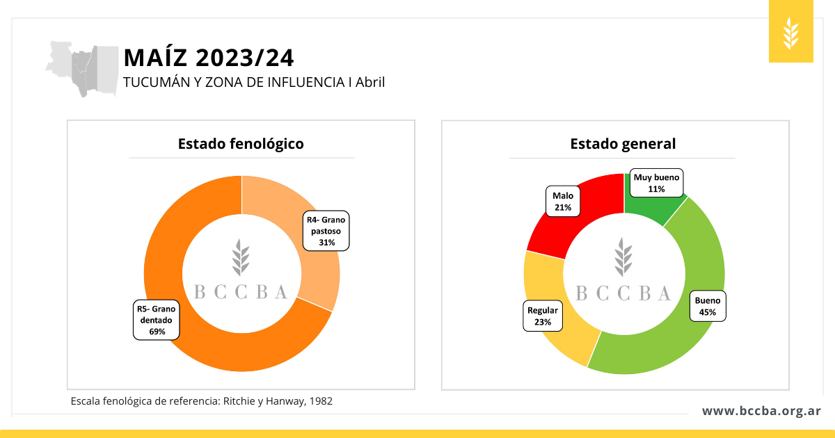 avance de siembra maíz 