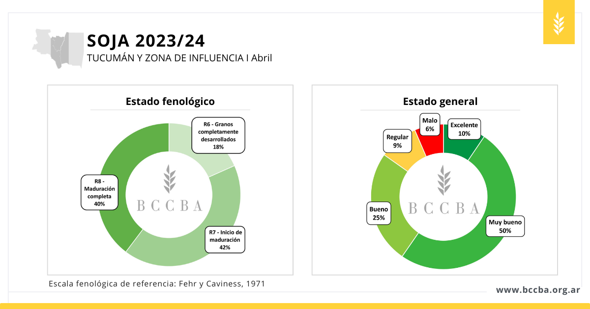 avance de siembra soja