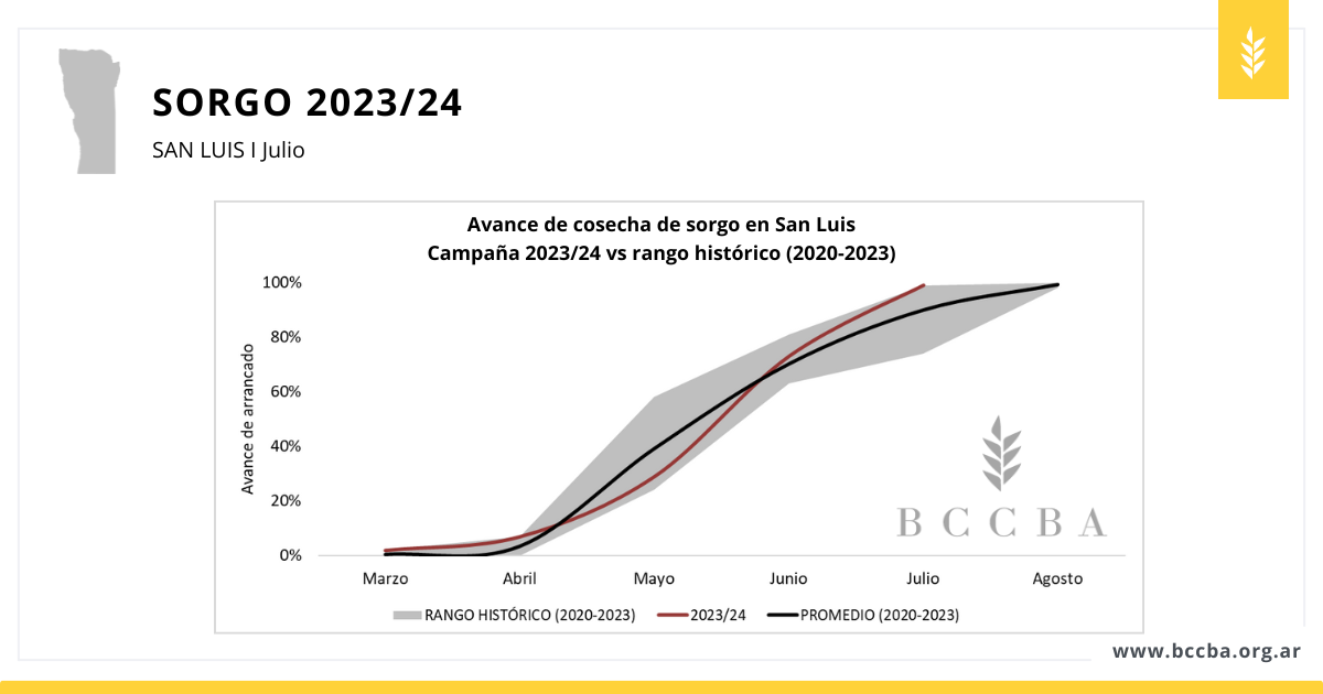 Estado general y fenológico sorgo