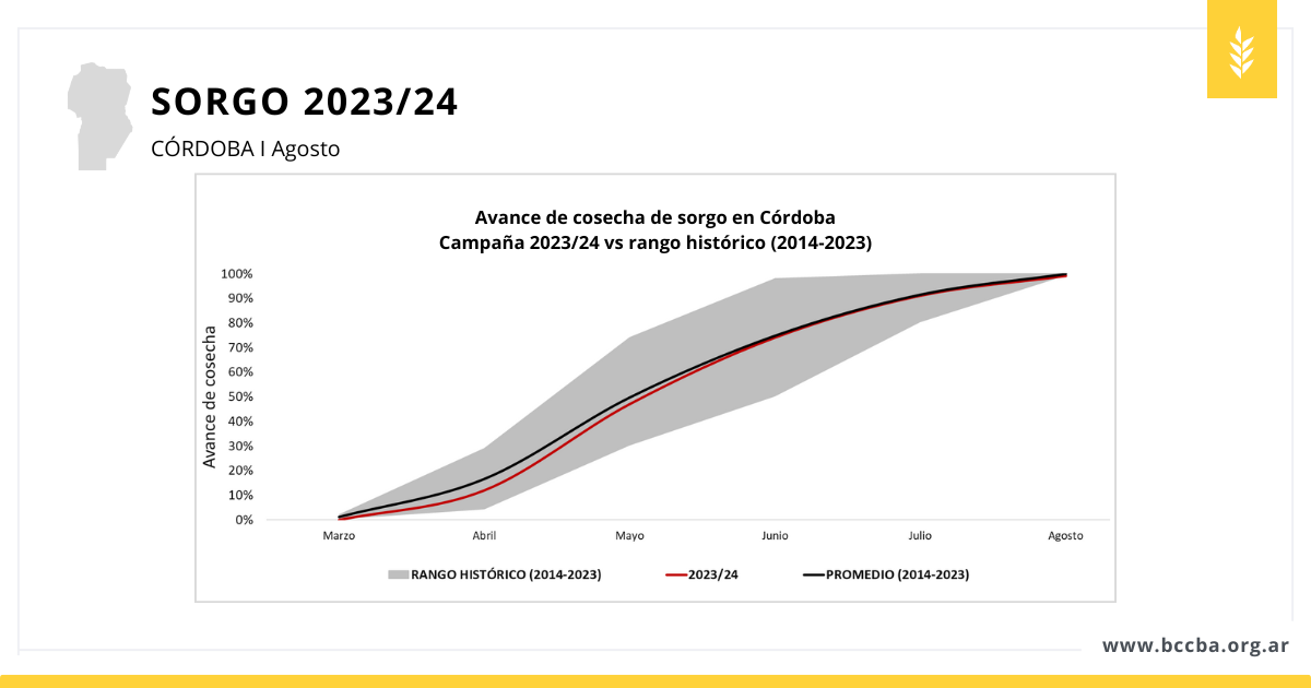 avance de siembra sorgo