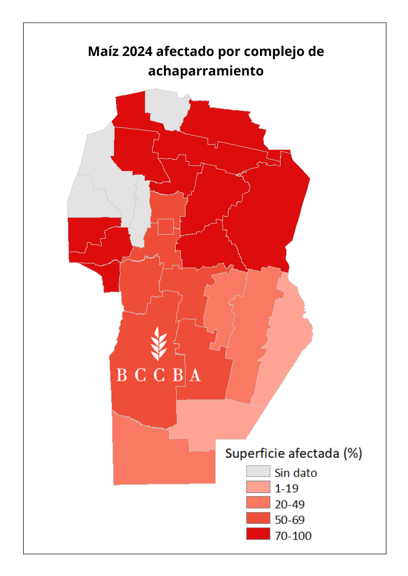 Superficie sorgo