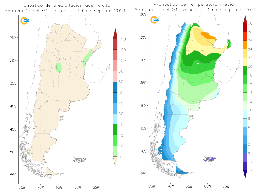 SMN pronóstico