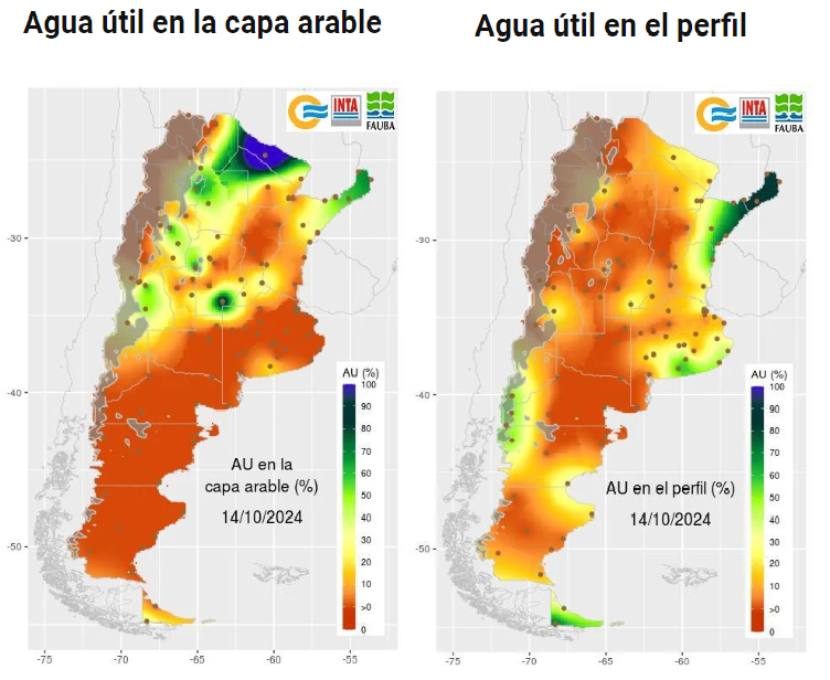 SMN pronóstico