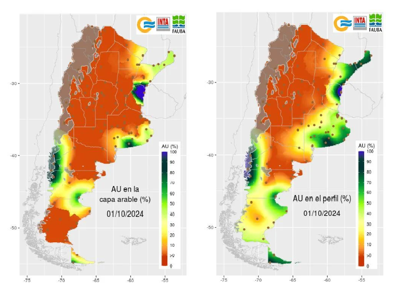 SMN pronóstico