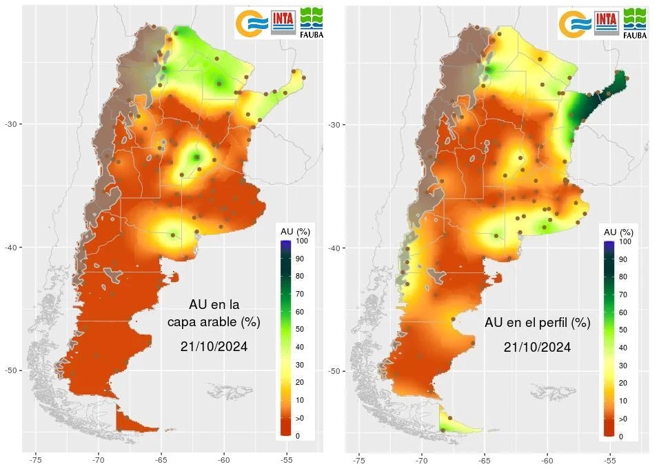 SMN pronóstico