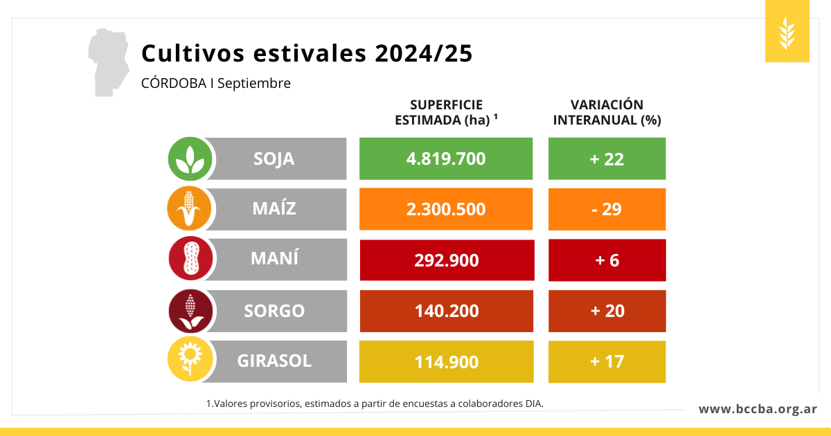 Maní zona BCCBA