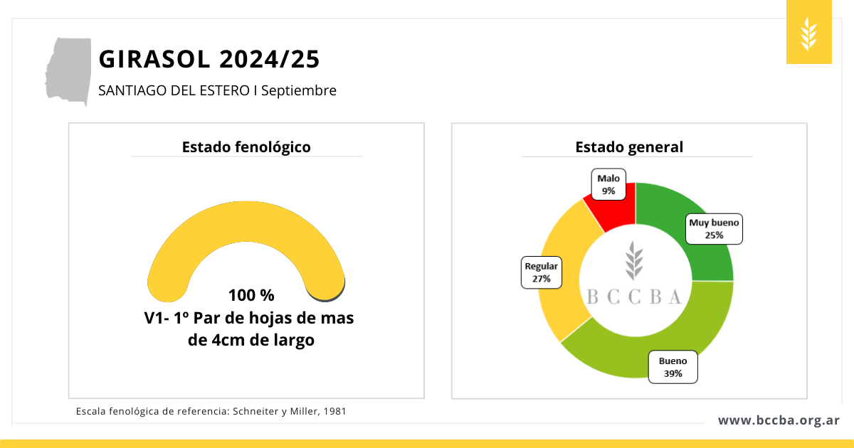 avance de siembra soja