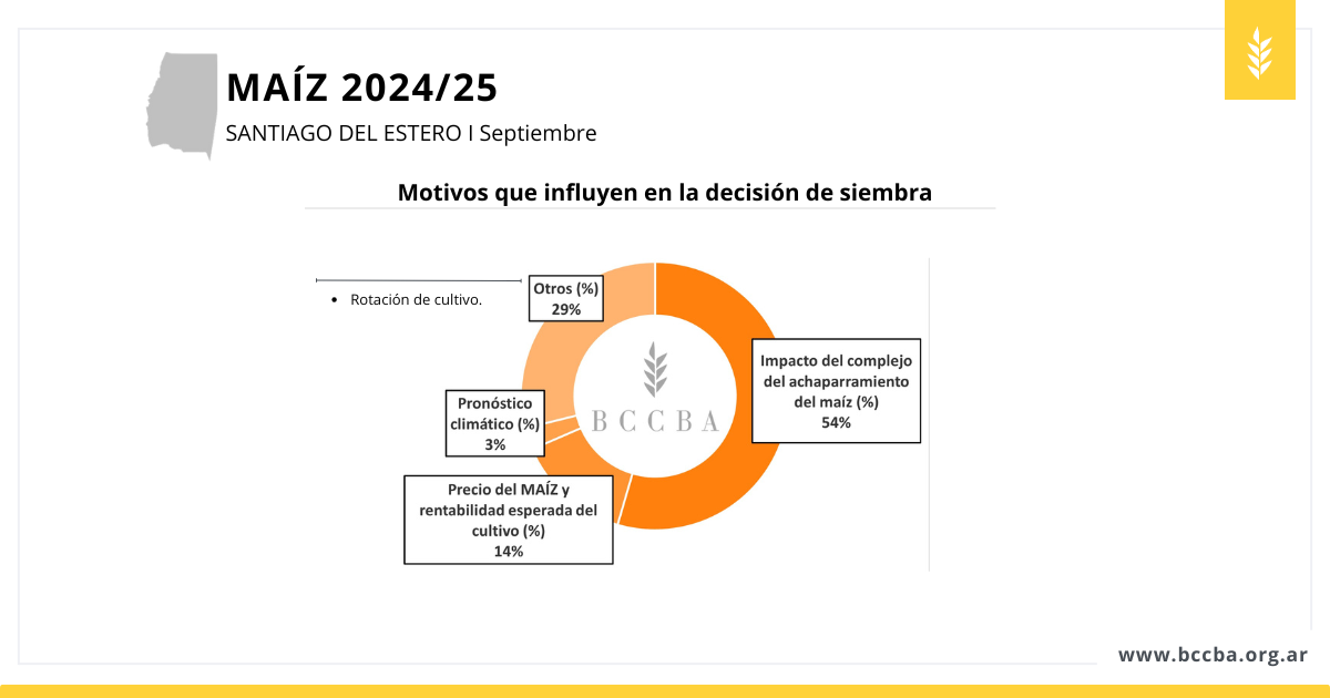 avance de siembra sorgo