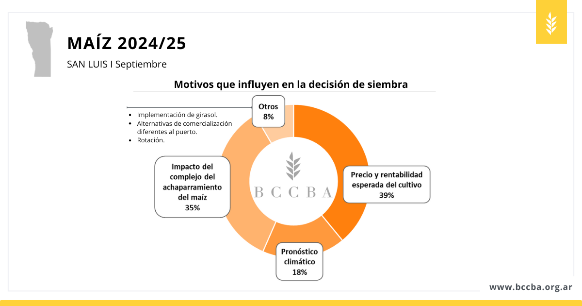 avance de siembra sorgo