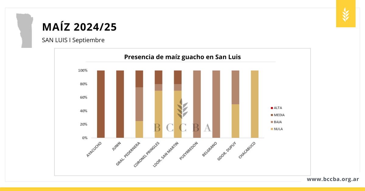 avance de siembra sorgo