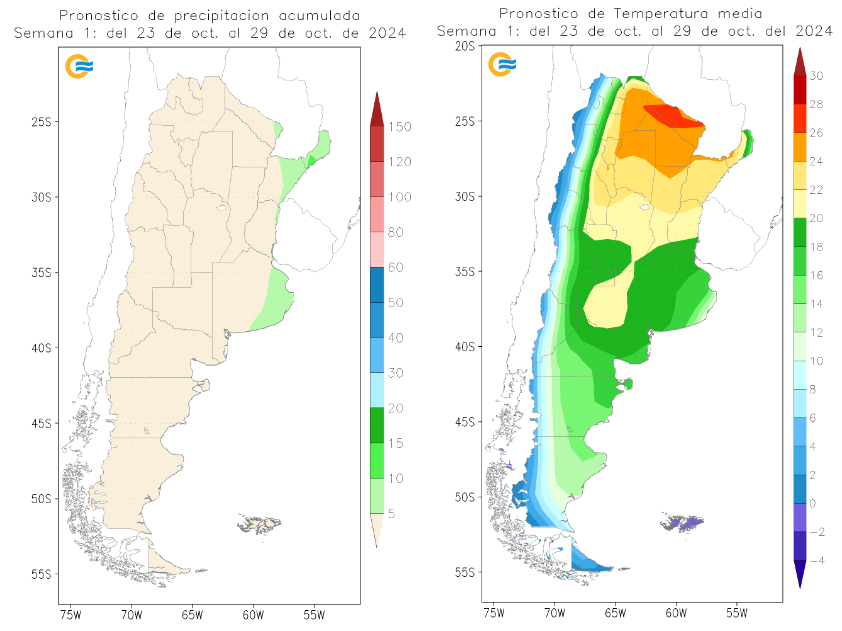 SMN pronóstico