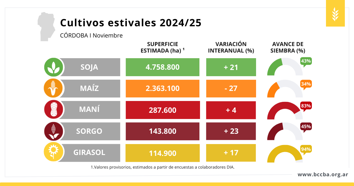 Maní zona BCCBA