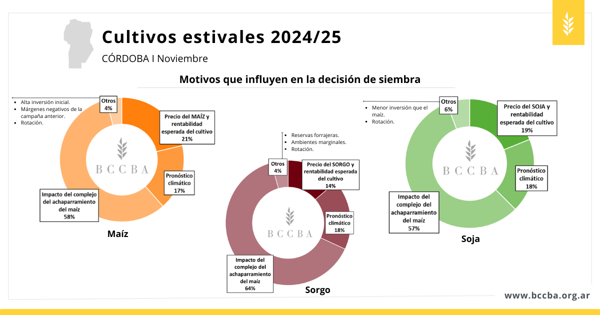 avance de siembra en maní 