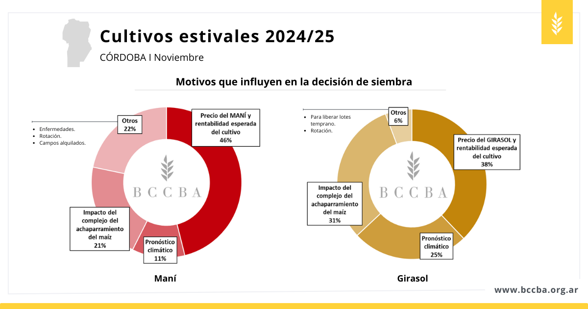 Maní zona BCCBA