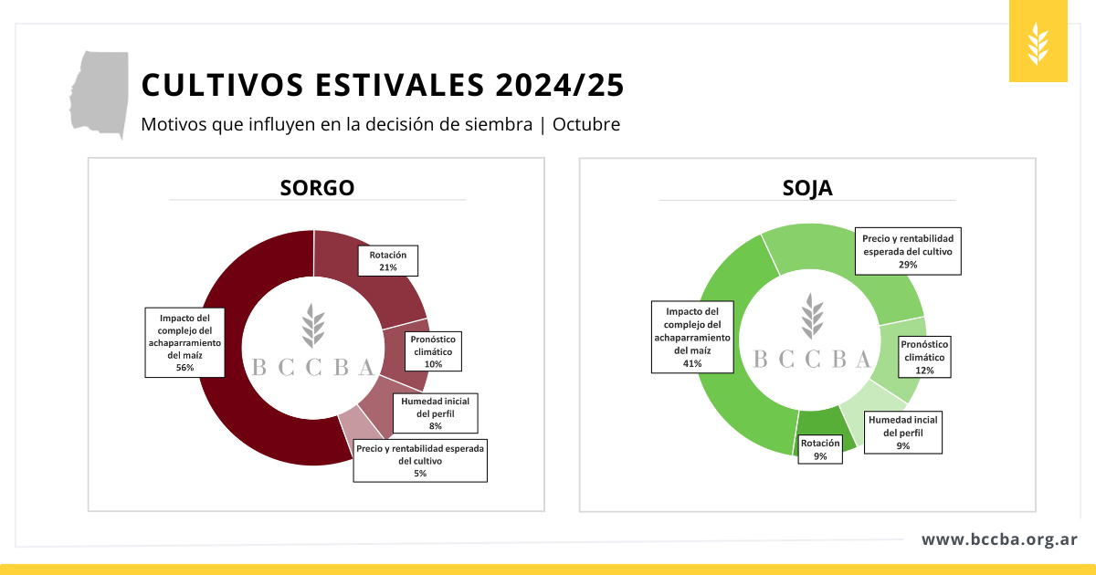 avance de siembra sorgo