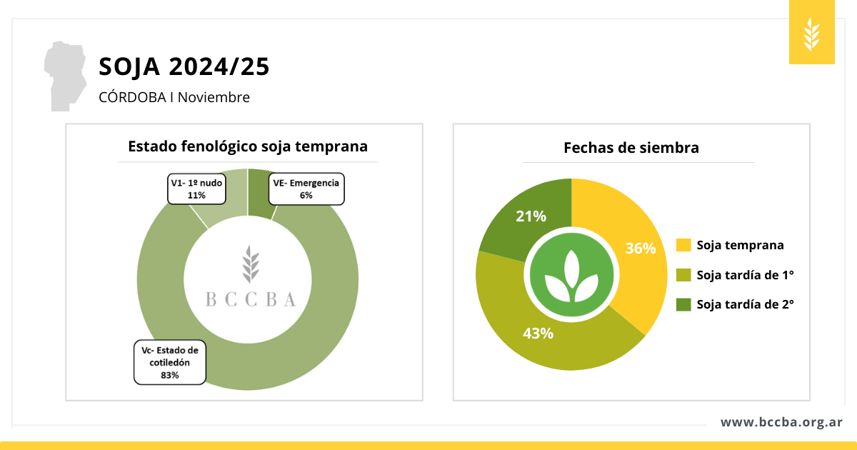 Superficie sorgo