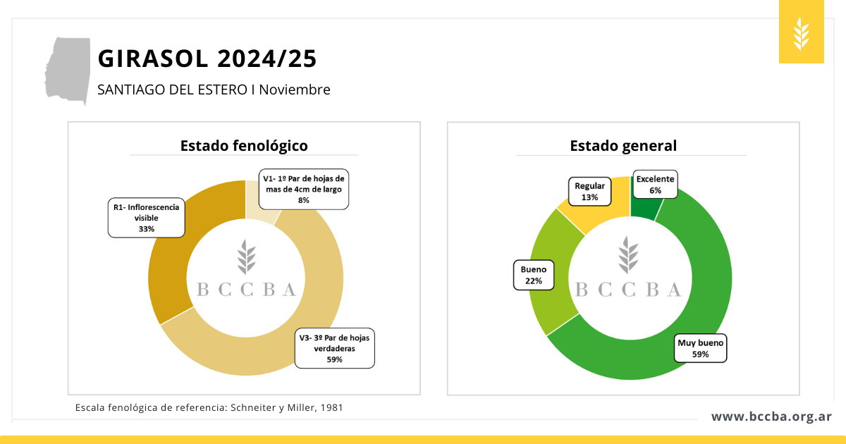 Maní zona BCCBA