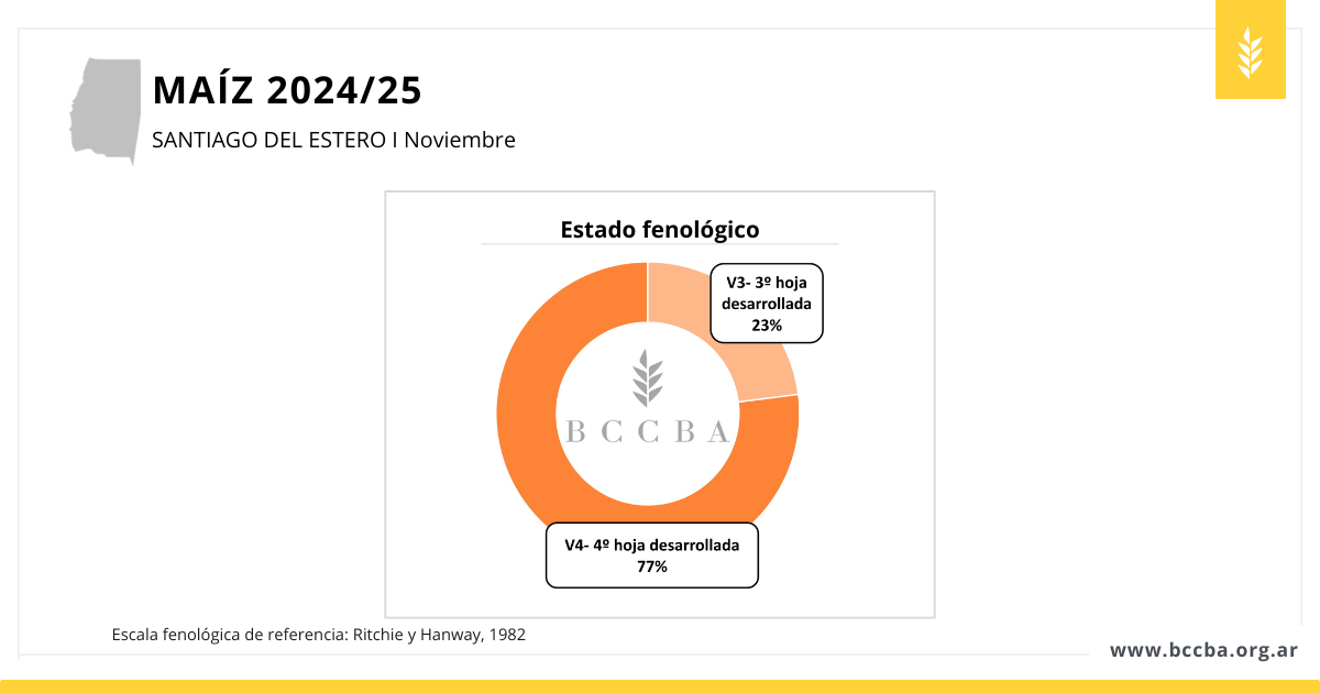 avance de siembra sorgo