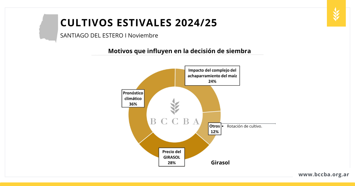 avance de siembra sorgo