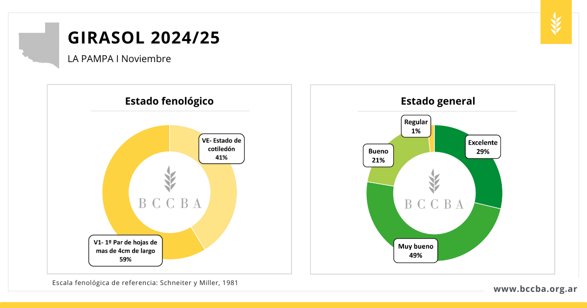 avance de siembra maíz 