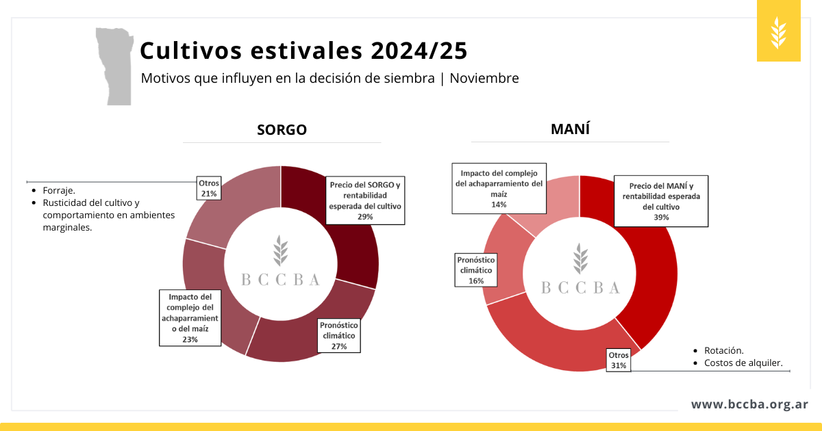 Maní zona BCCBA