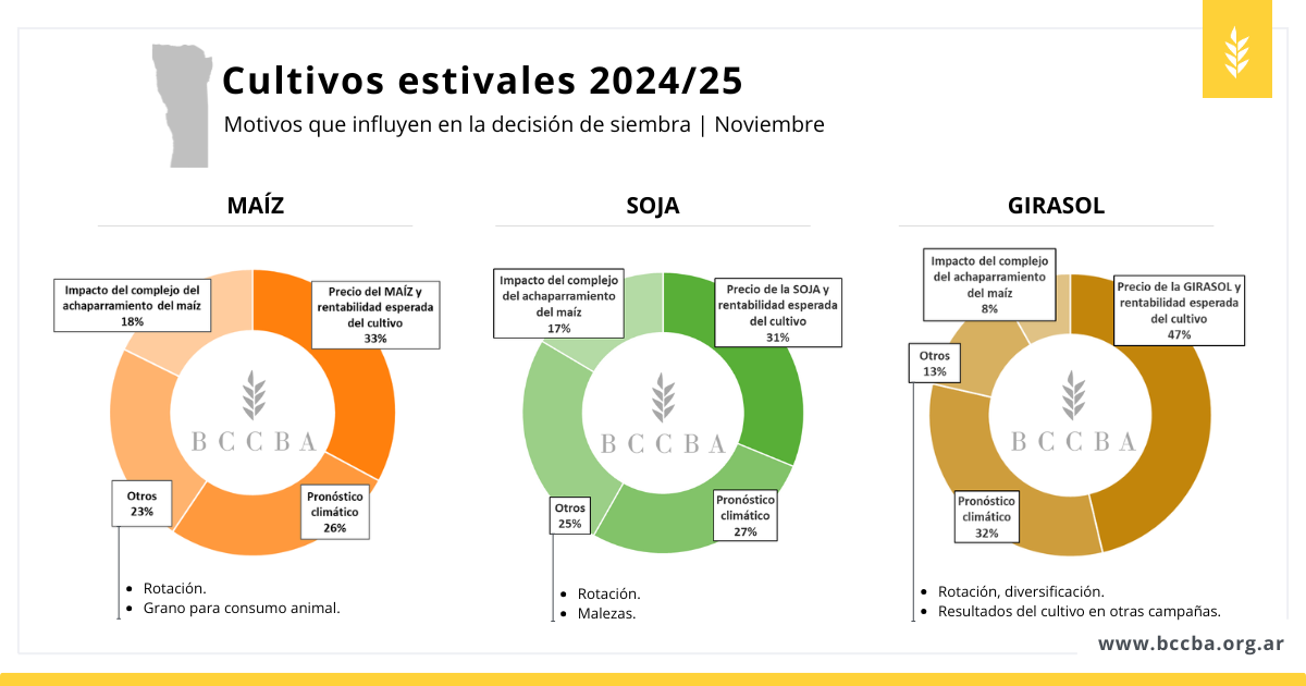 avance de siembra en maní 