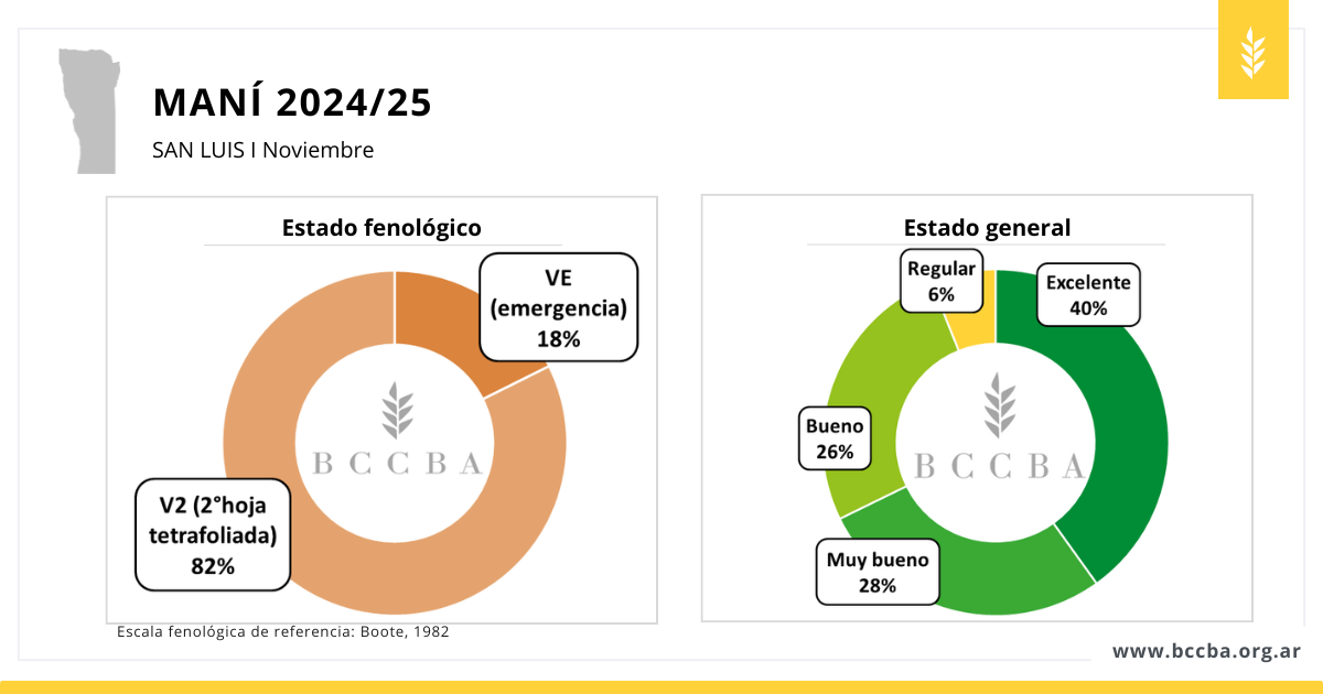 Maní zona BCCBA