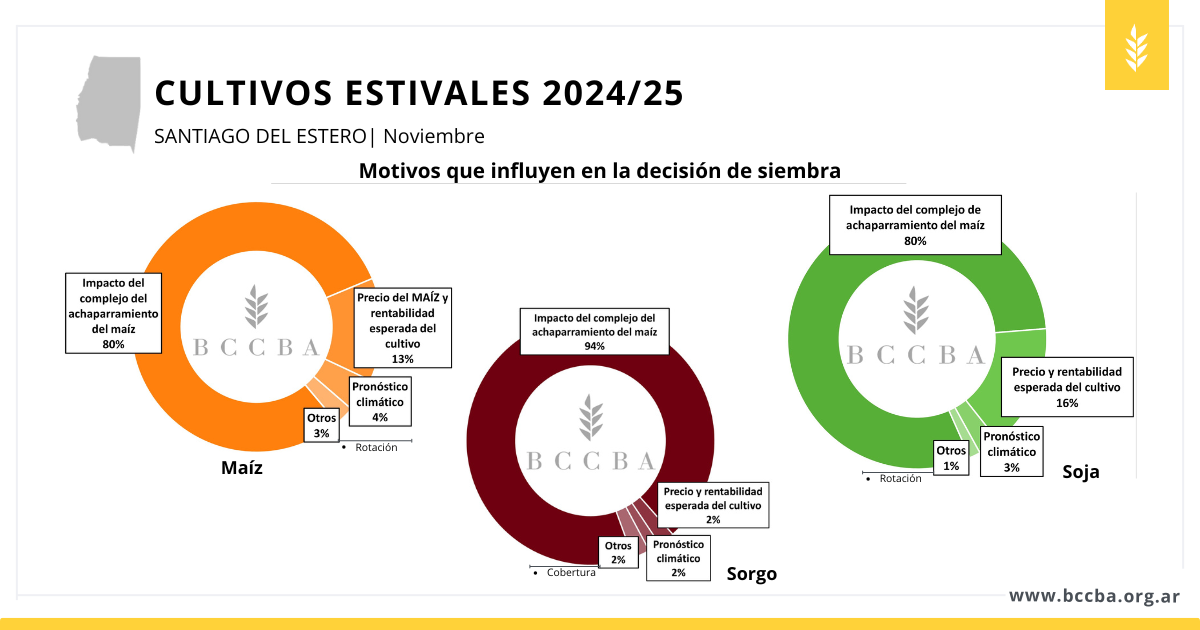 avance de siembra sorgo