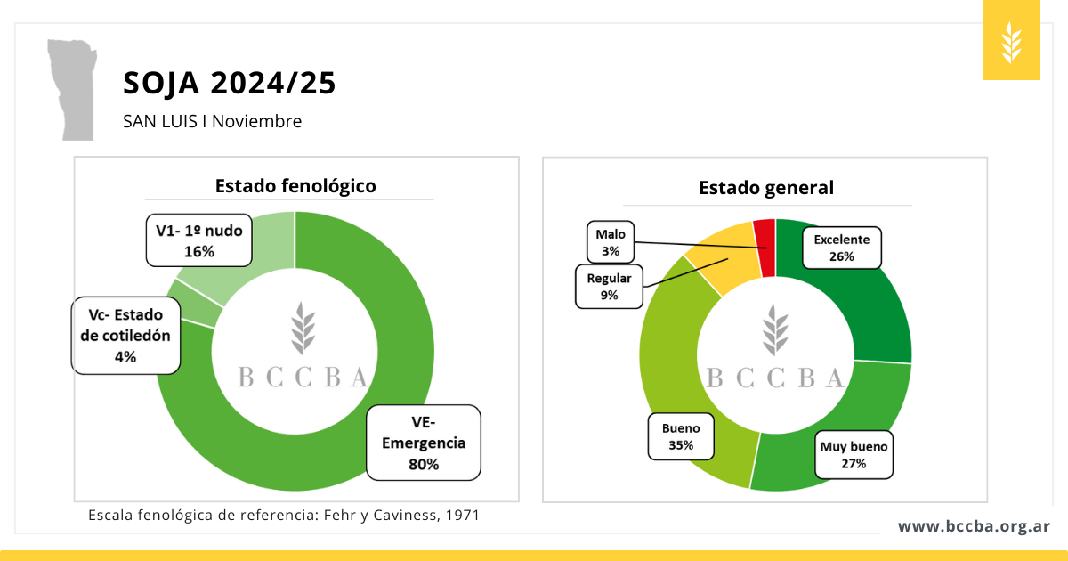 Superficie sorgo