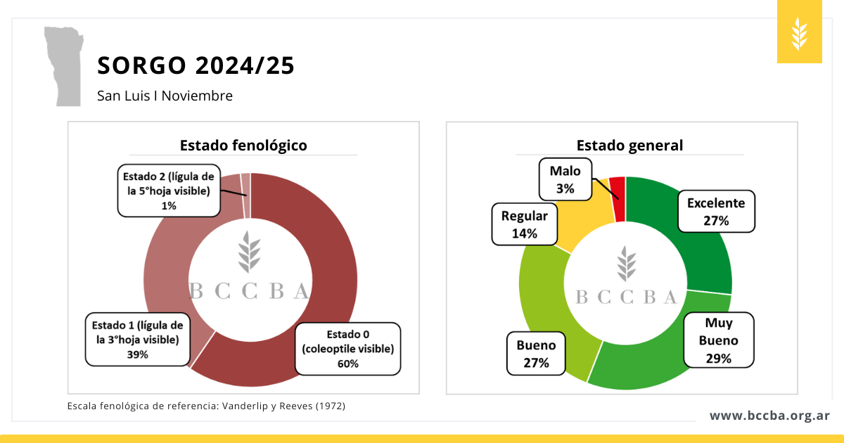 Superficie sorgo