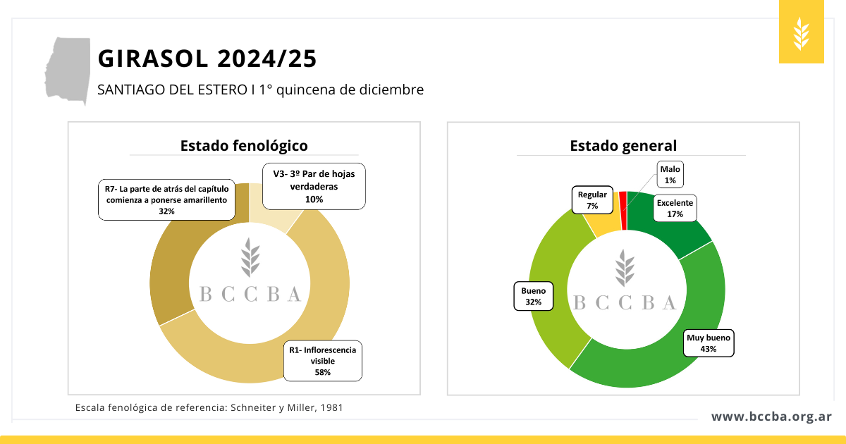 Maní zona BCCBA