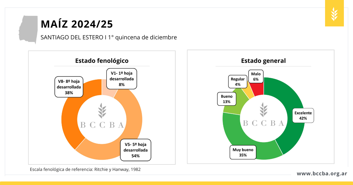 avance de siembra sorgo