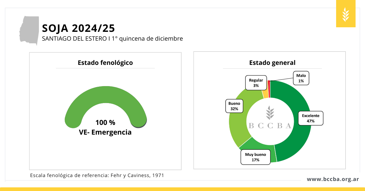 Superficie sorgo