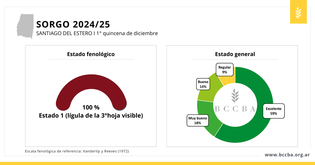 Superficie sorgo