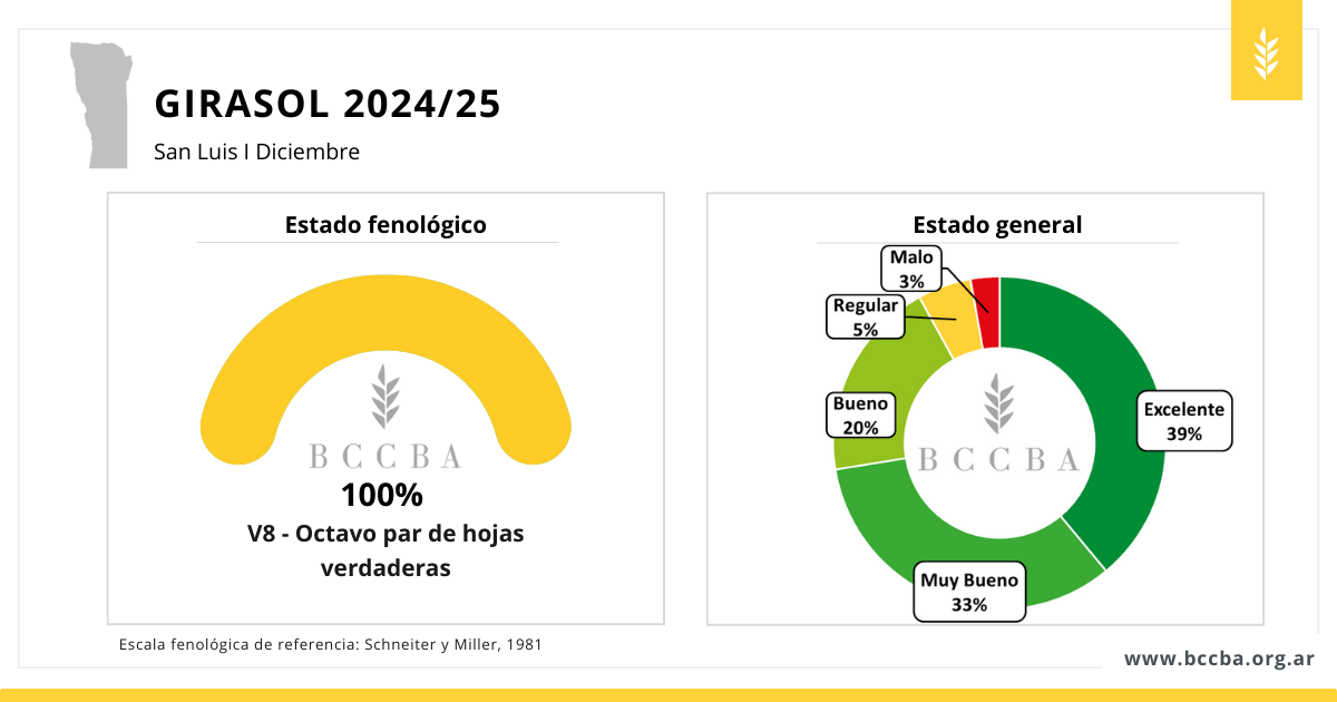 Maní zona BCCBA