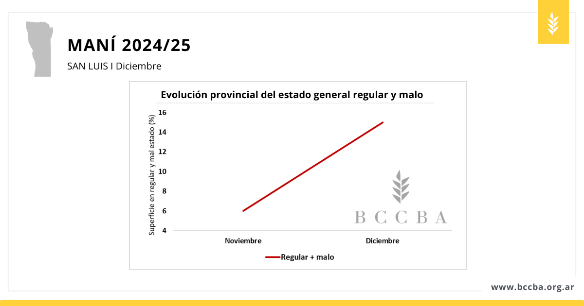 Maní zona BCCBA