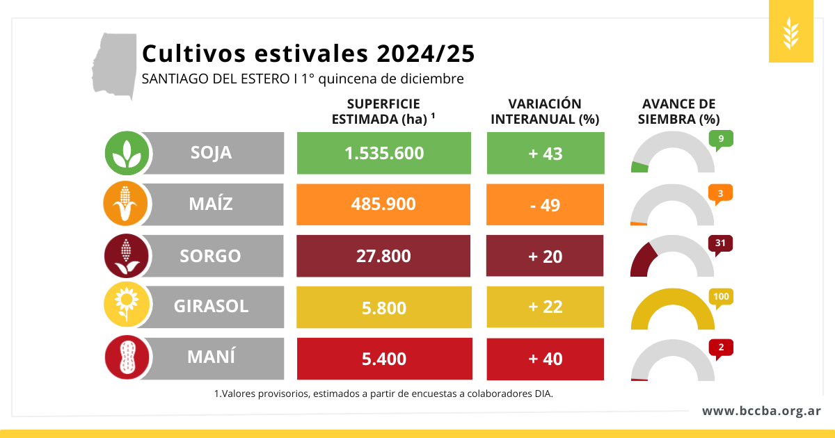 avance de siembra sorgo