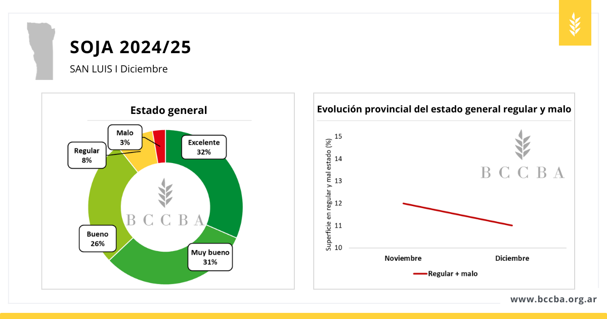 Superficie sorgo