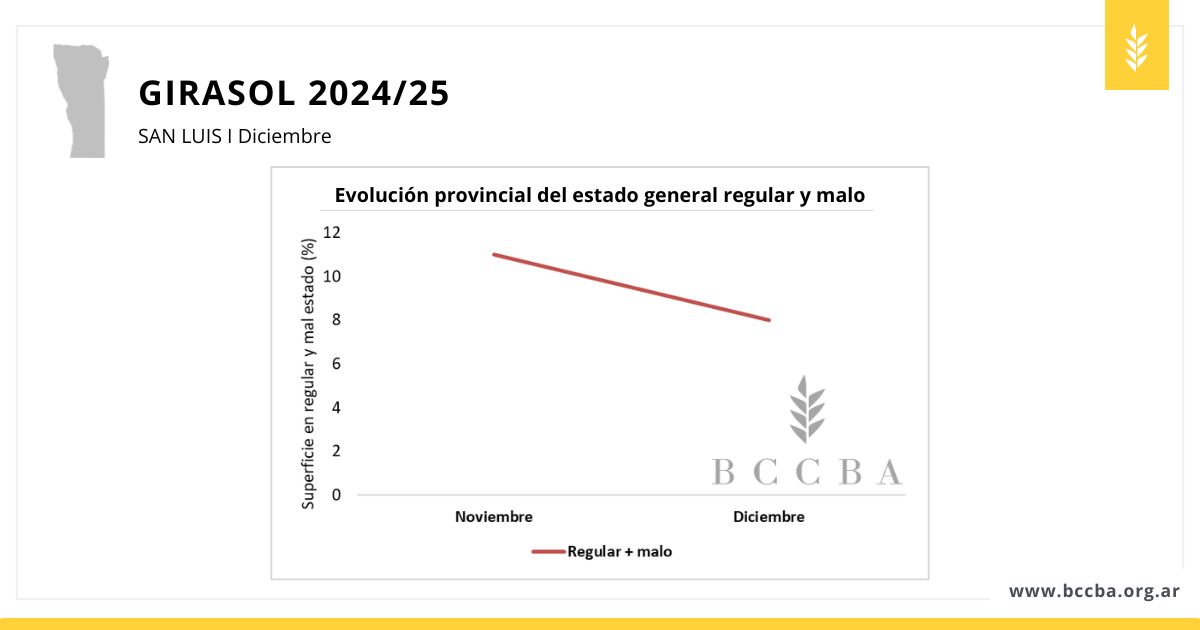 Maní zona BCCBA