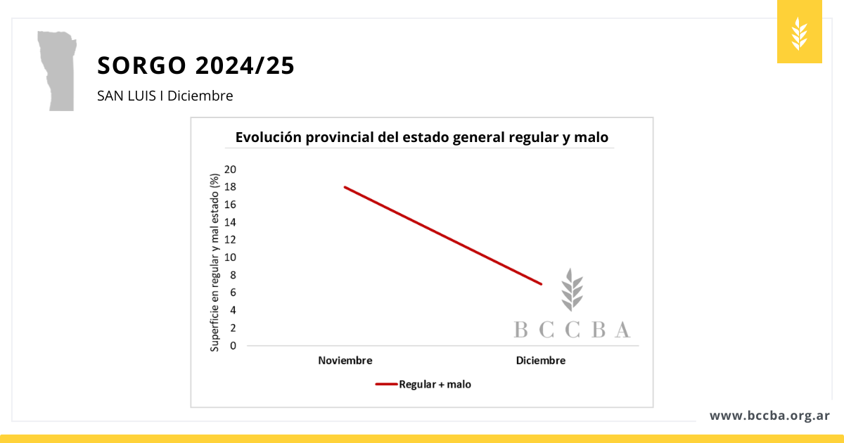 Superficie sorgo