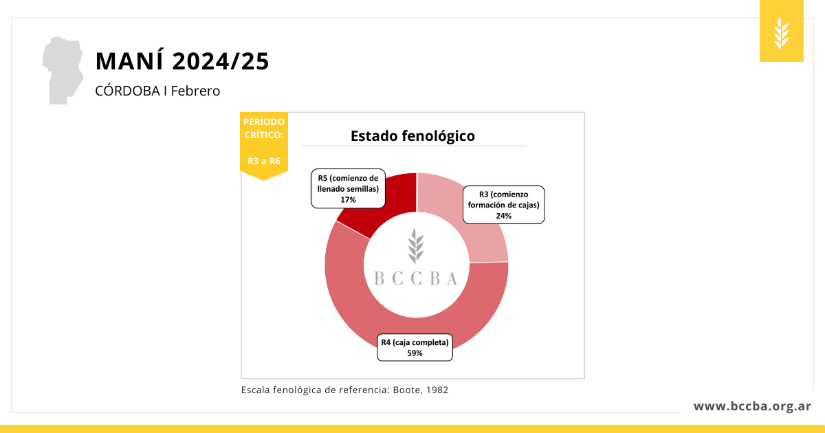 Diagrama El contenido generado por IA puede ser incorrecto.