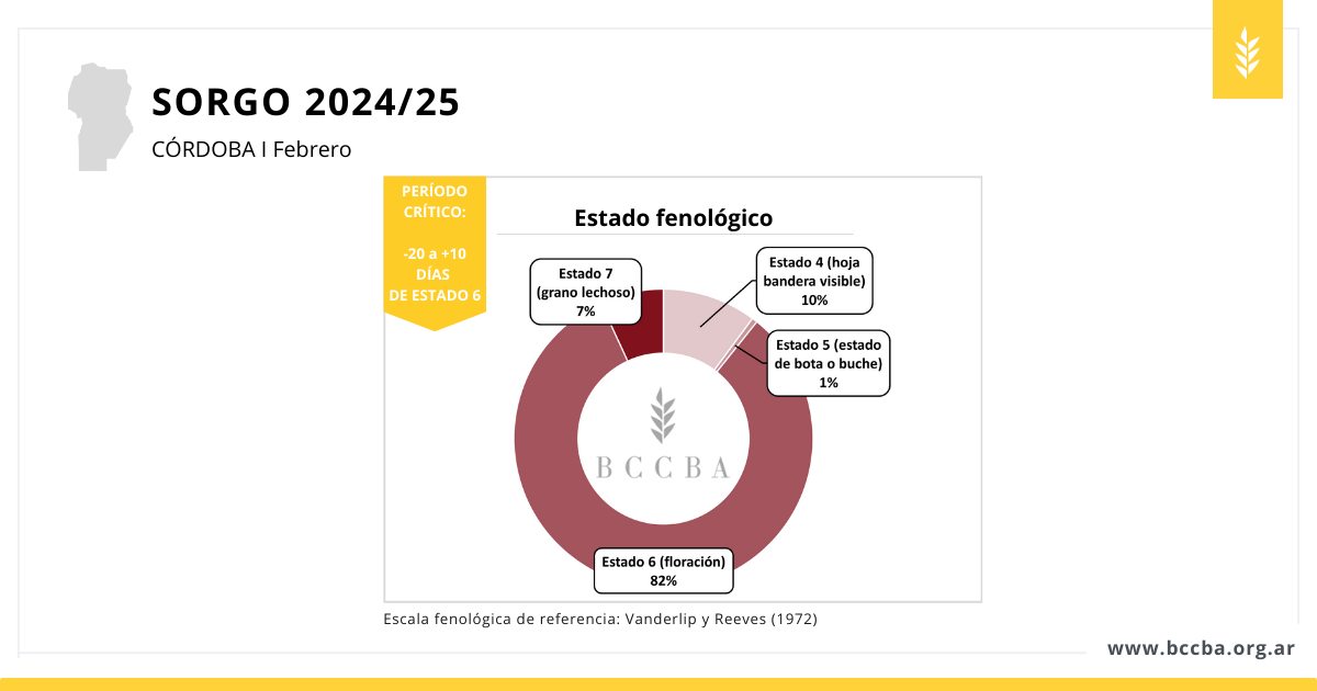 Diagrama El contenido generado por IA puede ser incorrecto.