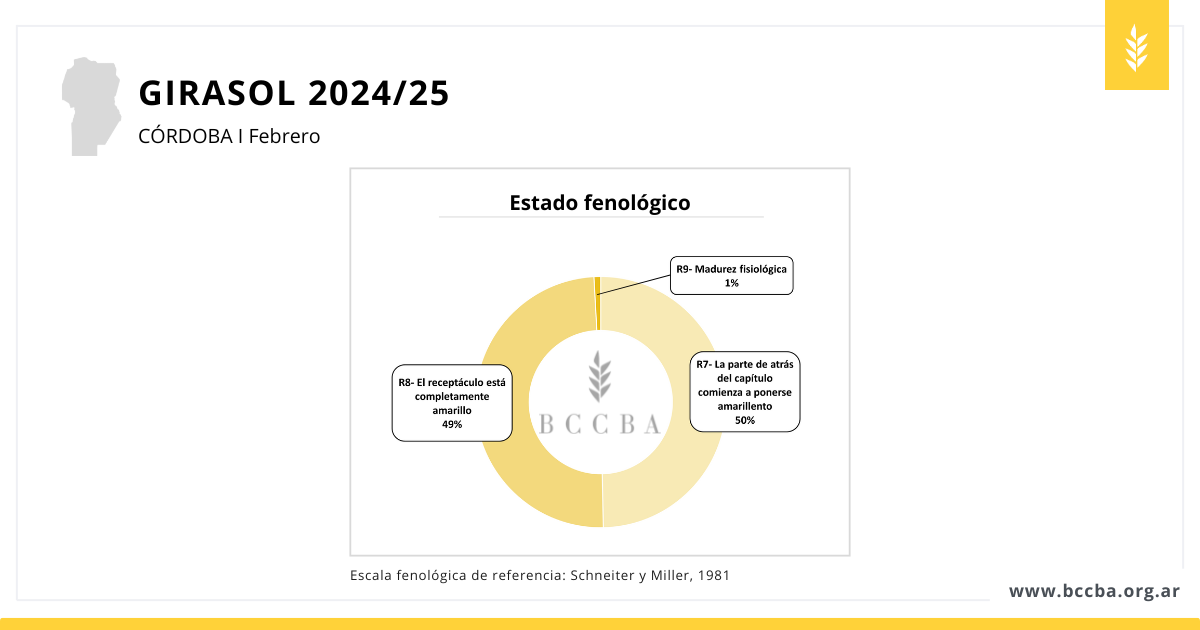 Diagrama El contenido generado por IA puede ser incorrecto.