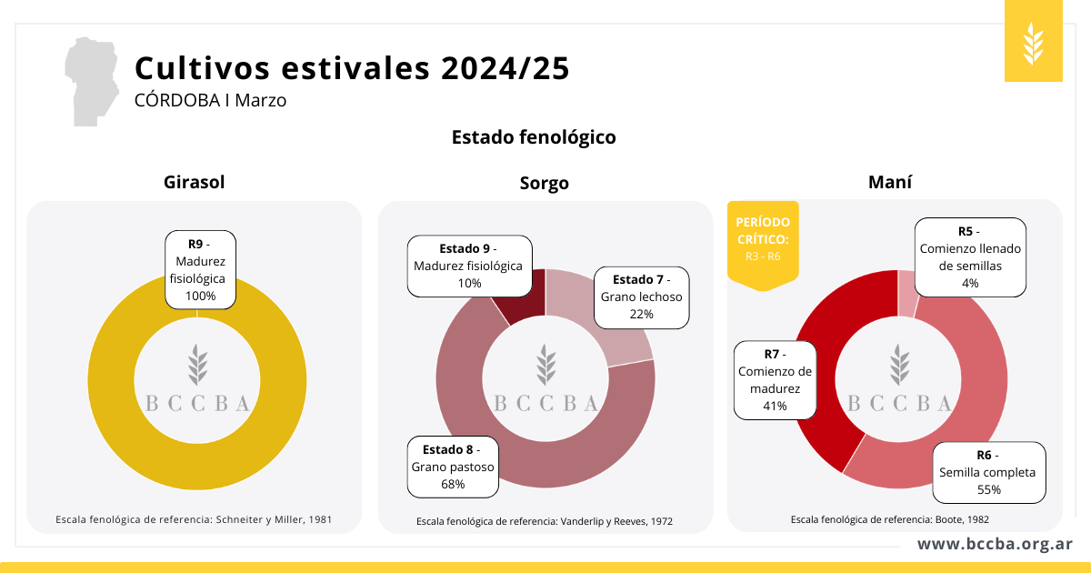 Gráfico El contenido generado por IA puede ser incorrecto.