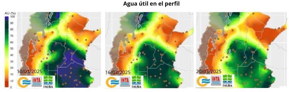 Imagen que contiene Sitio web  El contenido generado por IA puede ser incorrecto.