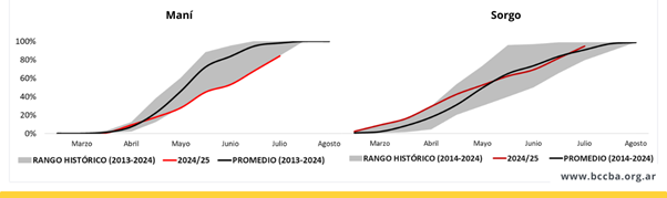Gráfico, Gráfico de superficie

El contenido generado por IA puede ser incorrecto.