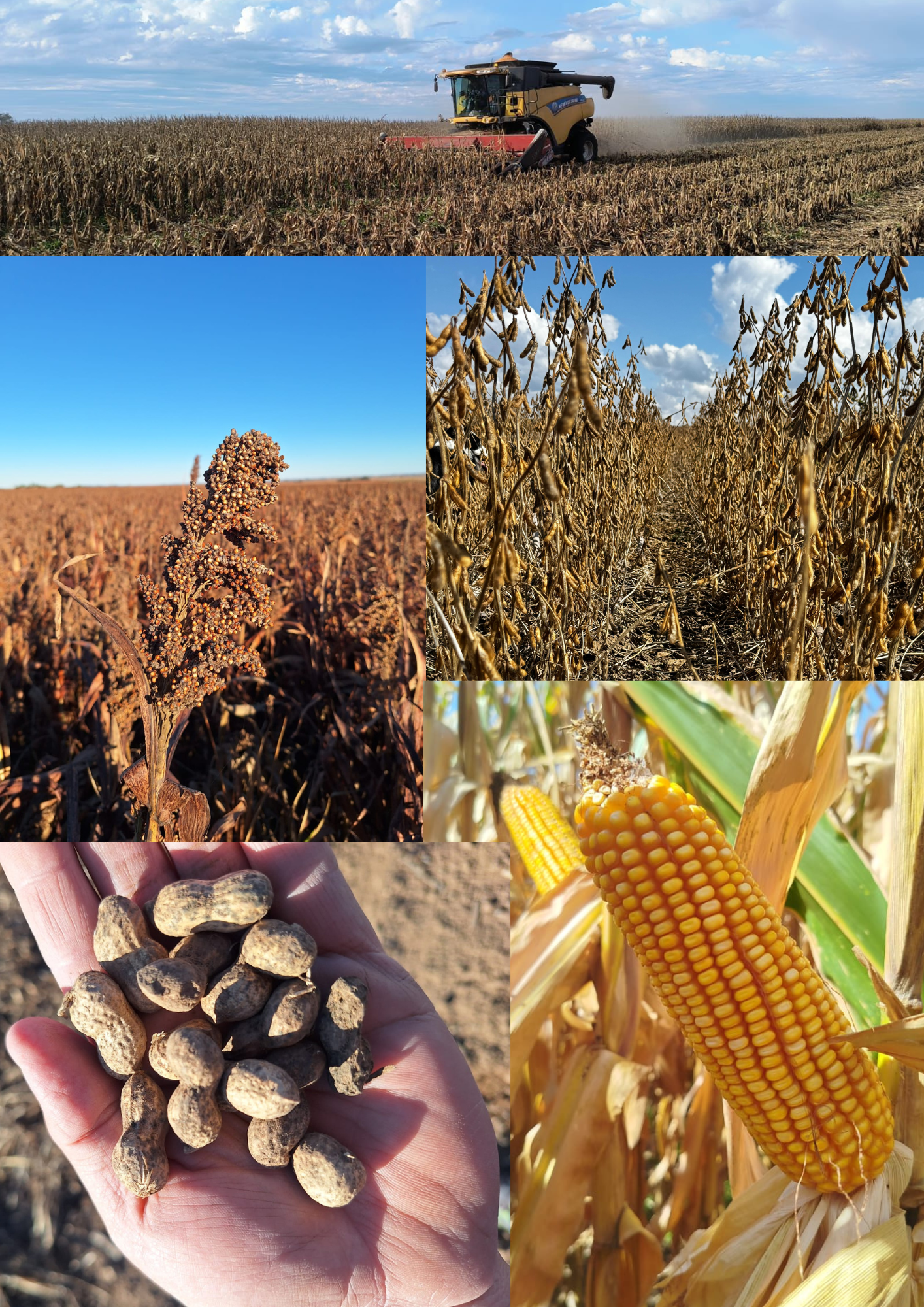 Imagen que contiene alimentos, foto, tabla, montaña

El contenido generado por IA puede ser incorrecto.