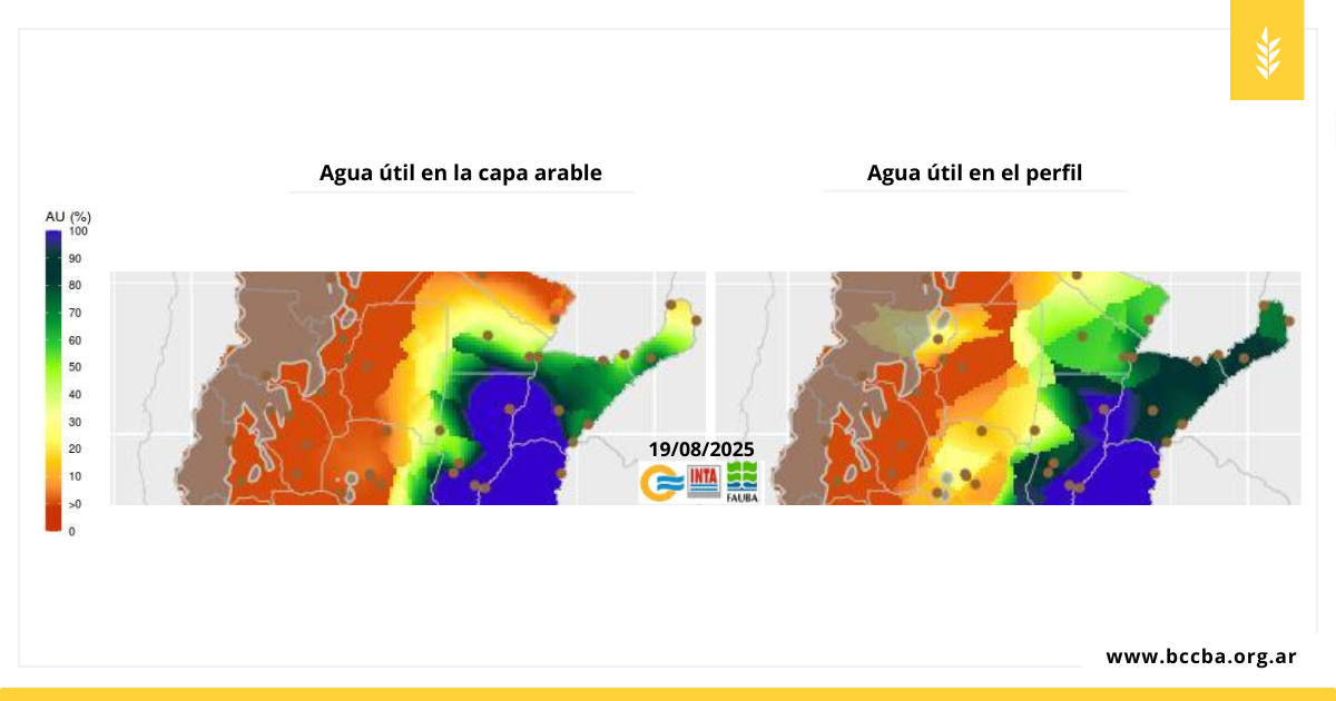 Interfaz de usuario gráfica, Aplicación, Sitio web

El contenido generado por IA puede ser incorrecto.